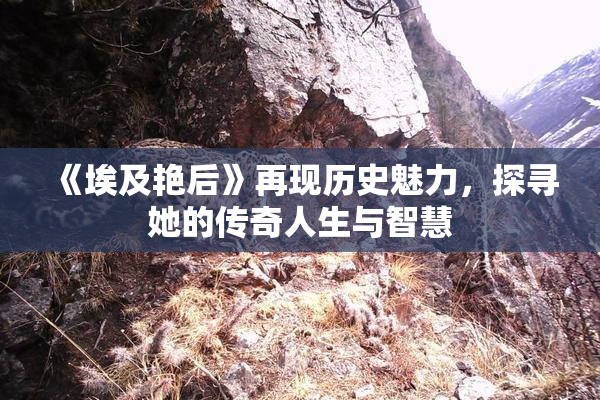 《埃及艳后》再现历史魅力，探寻她的传奇人生与智慧