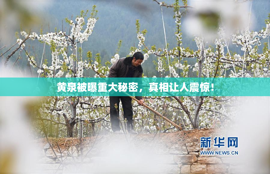 黄泉被曝重大秘密，真相让人震惊！