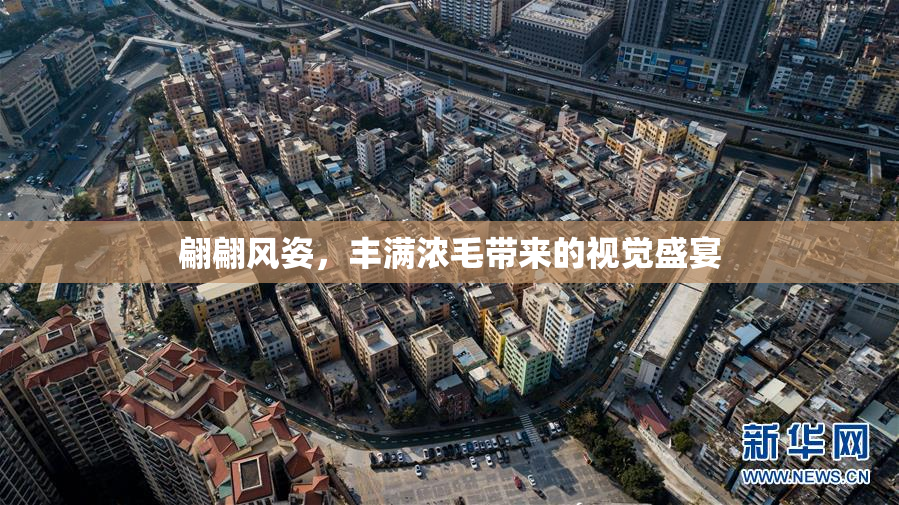 翩翩风姿，丰满浓毛带来的视觉盛宴