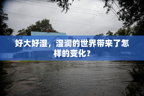 好大好湿，湿润的世界带来了怎样的变化？