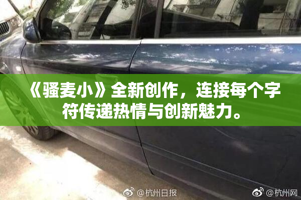 《骚麦小》全新创作，连接每个字符传递热情与创新魅力。