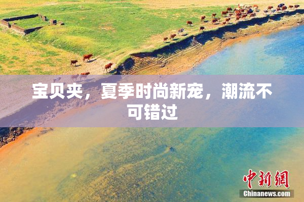 宝贝夹，夏季时尚新宠，潮流不可错过
