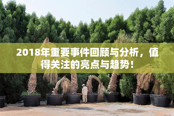 2018年重要事件回顾与分析，值得关注的亮点与趋势！