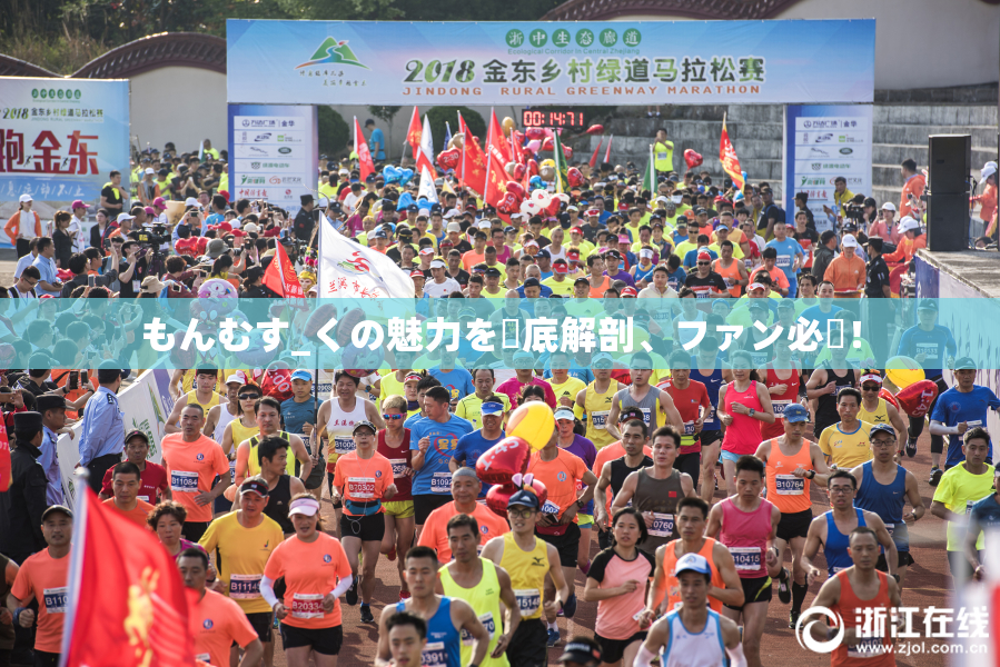もんむす_くの魅力を徹底解剖、ファン必見！