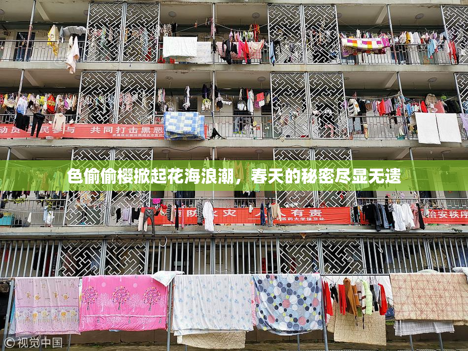 色偷偷樱掀起花海浪潮，春天的秘密尽显无遗