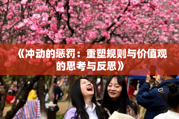 《冲动的惩罚：重塑规则与价值观的思考与反思》