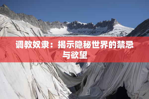 调教奴隶：揭示隐秘世界的禁忌与欲望