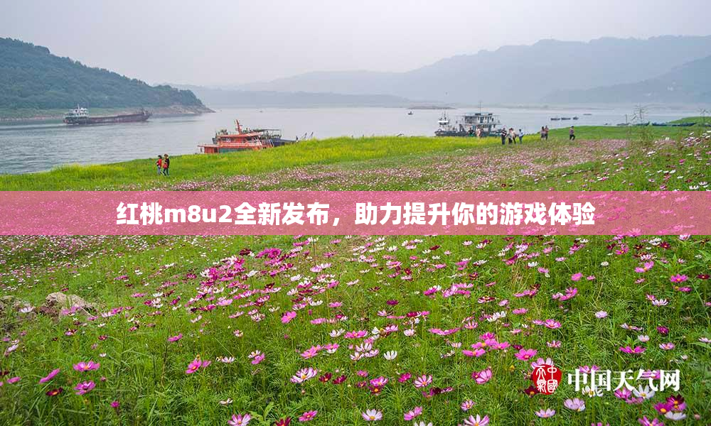 红桃m8u2全新发布，助力提升你的游戏体验