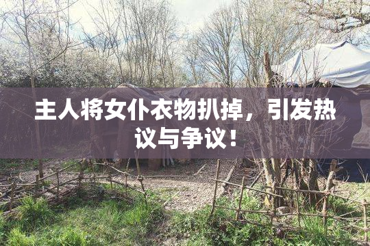 主人将女仆衣物扒掉，引发热议与争议！