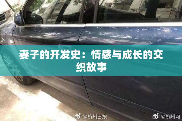 妻子的开发史：情感与成长的交织故事