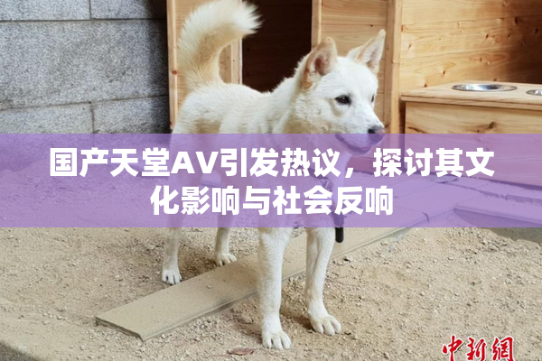 国产天堂AV引发热议，探讨其文化影响与社会反响