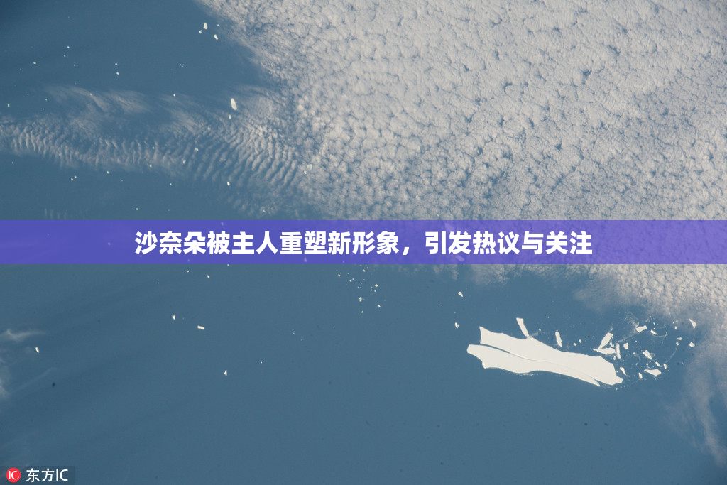 沙奈朵被主人重塑新形象，引发热议与关注