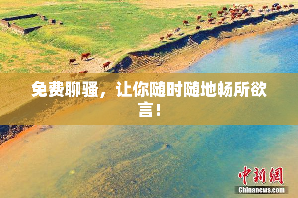 免费聊骚，让你随时随地畅所欲言！