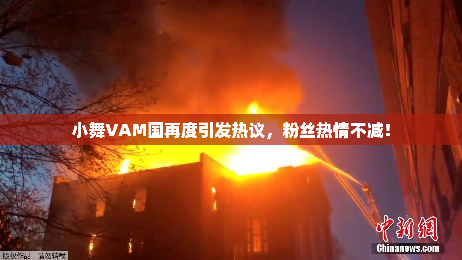 小舞VAM国再度引发热议，粉丝热情不减！