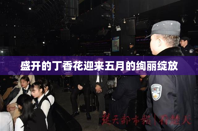 盛开的丁香花迎来五月的绚丽绽放