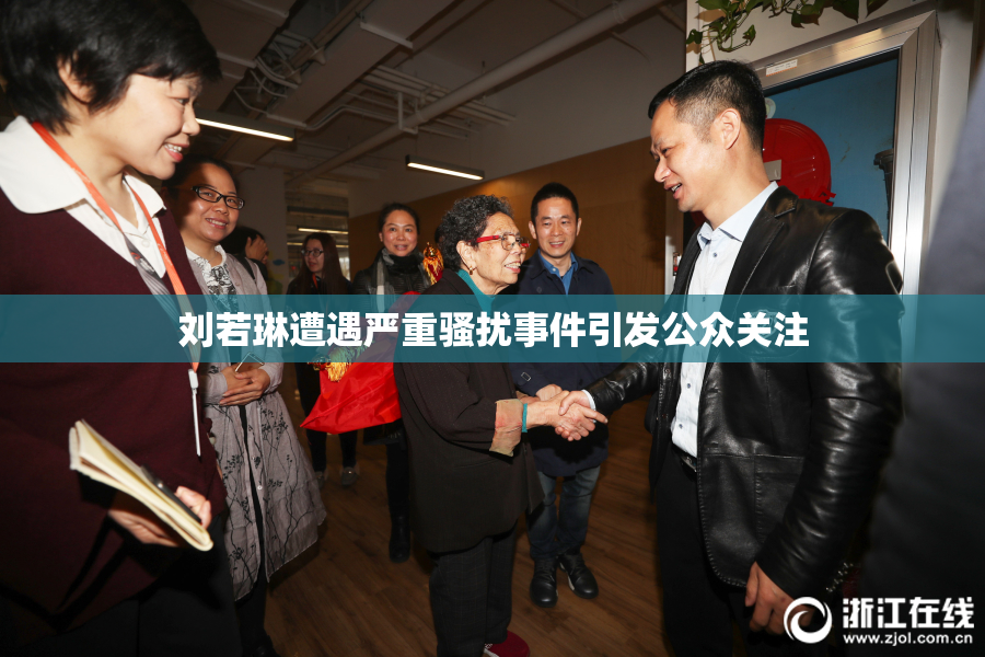 刘若琳遭遇严重骚扰事件引发公众关注