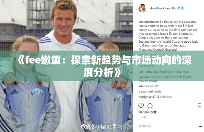 《fee嫩重：探索新趋势与市场动向的深度分析》