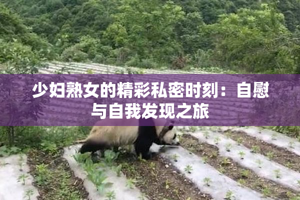 少妇熟女的精彩私密时刻：自慰与自我发现之旅