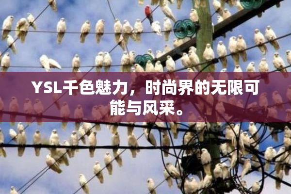 YSL千色魅力，时尚界的无限可能与风采。