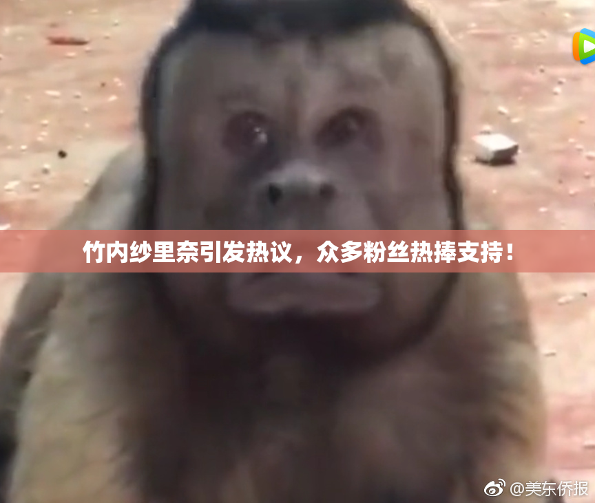 竹内纱里奈引发热议，众多粉丝热捧支持！
