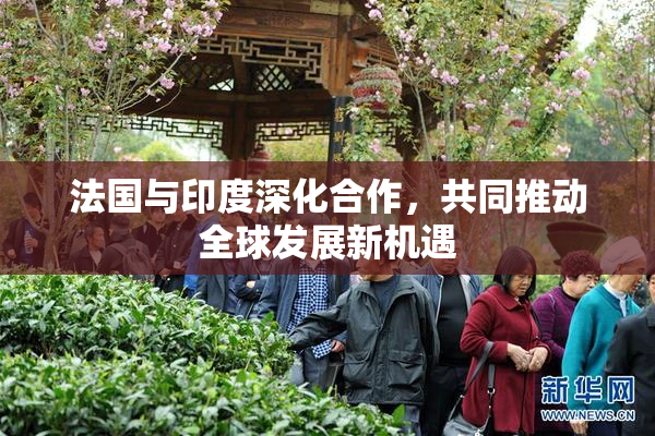 法国与印度深化合作，共同推动全球发展新机遇