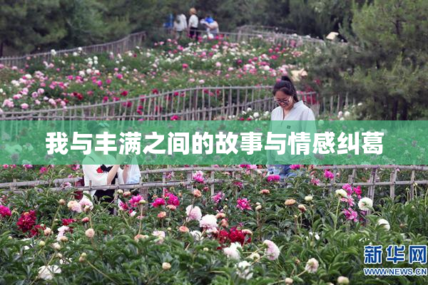 我与丰满之间的故事与情感纠葛