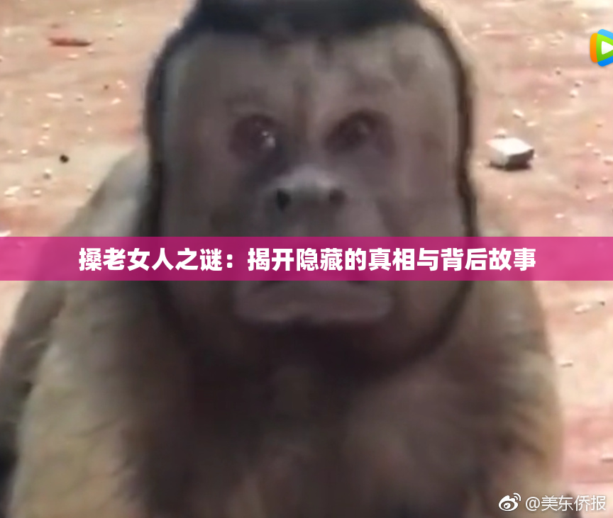 搡老女人之谜：揭开隐藏的真相与背后故事
