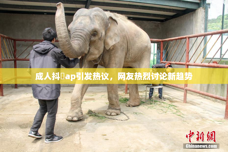 成人抖抈ap引发热议，网友热烈讨论新趋势
