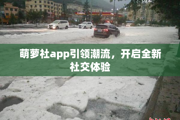 萌萝社app引领潮流，开启全新社交体验