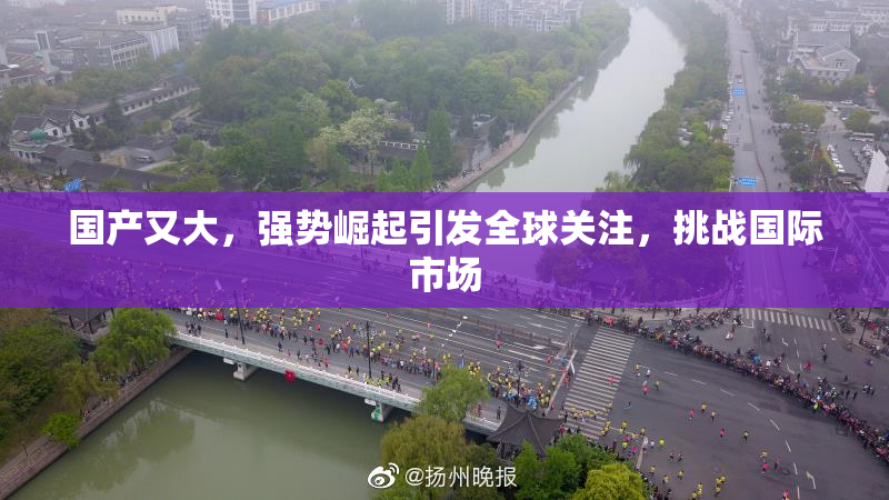 国产又大，强势崛起引发全球关注，挑战国际市场