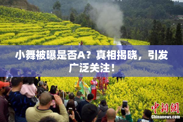 小舞被曝是否A？真相揭晓，引发广泛关注！