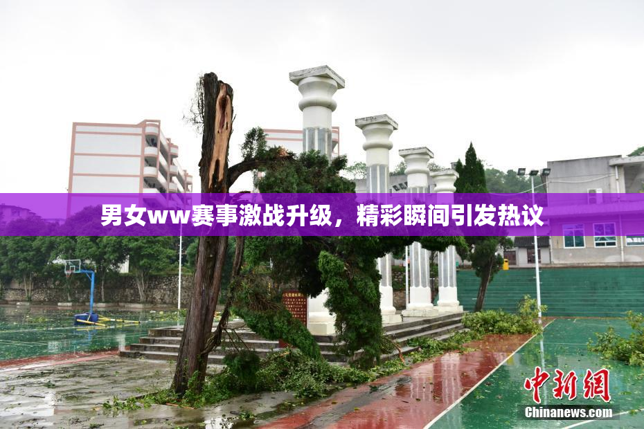 男女ww赛事激战升级，精彩瞬间引发热议