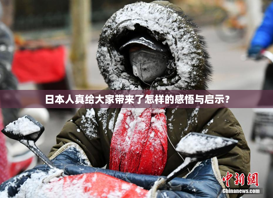 日本人真给大家带来了怎样的感悟与启示？