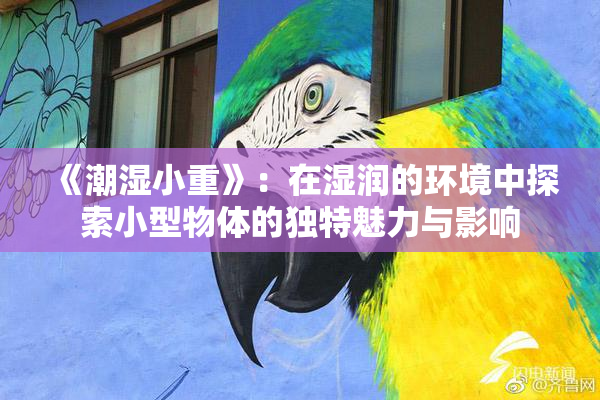 《潮湿小重》：在湿润的环境中探索小型物体的独特魅力与影响