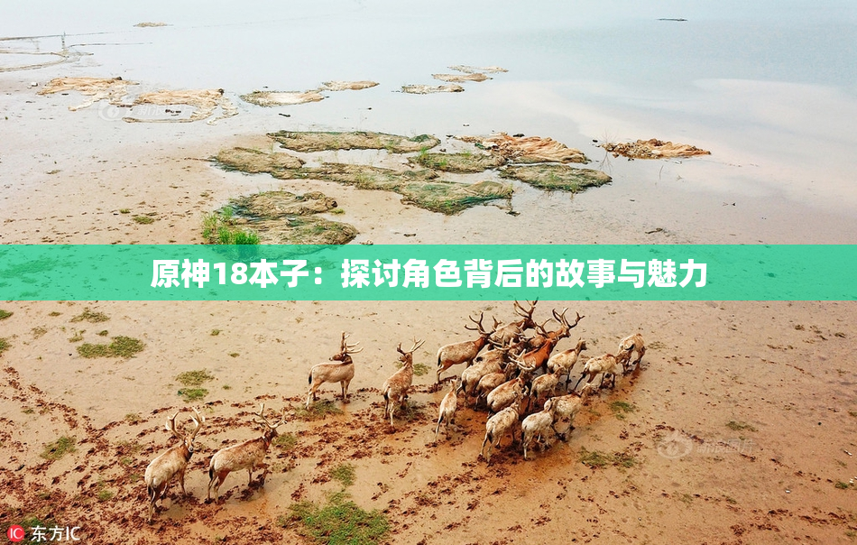 原神18本子：探讨角色背后的故事与魅力