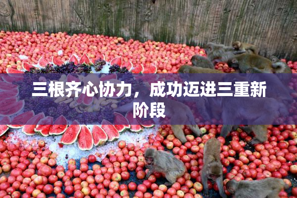 三根齐心协力，成功迈进三重新阶段