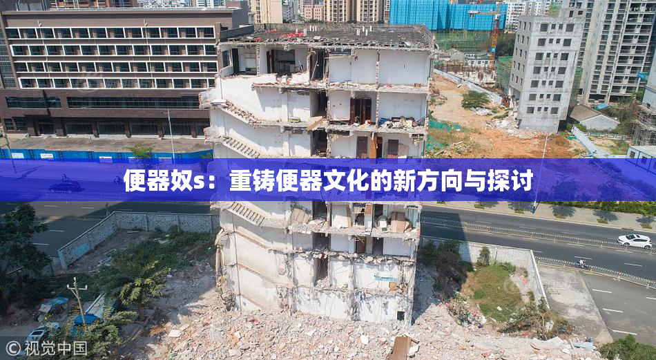 便器奴s：重铸便器文化的新方向与探讨