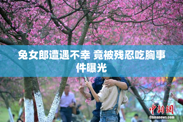 兔女郎遭遇不幸 竟被残忍吃胸事件曝光
