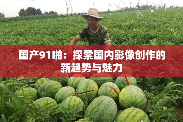 国产91啪：探索国内影像创作的新趋势与魅力