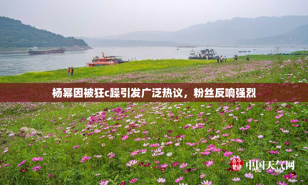 杨幂因被狂c躁引发广泛热议，粉丝反响强烈