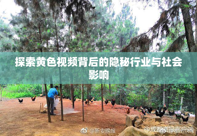 探索黄色视频背后的隐秘行业与社会影响