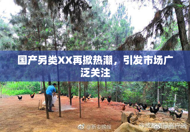 国产另类XX再掀热潮，引发市场广泛关注