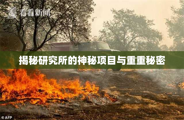 揭秘研究所的神秘项目与重重秘密