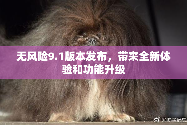 无风险9.1版本发布，带来全新体验和功能升级
