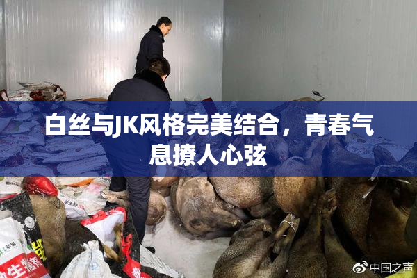 白丝与JK风格完美结合，青春气息撩人心弦
