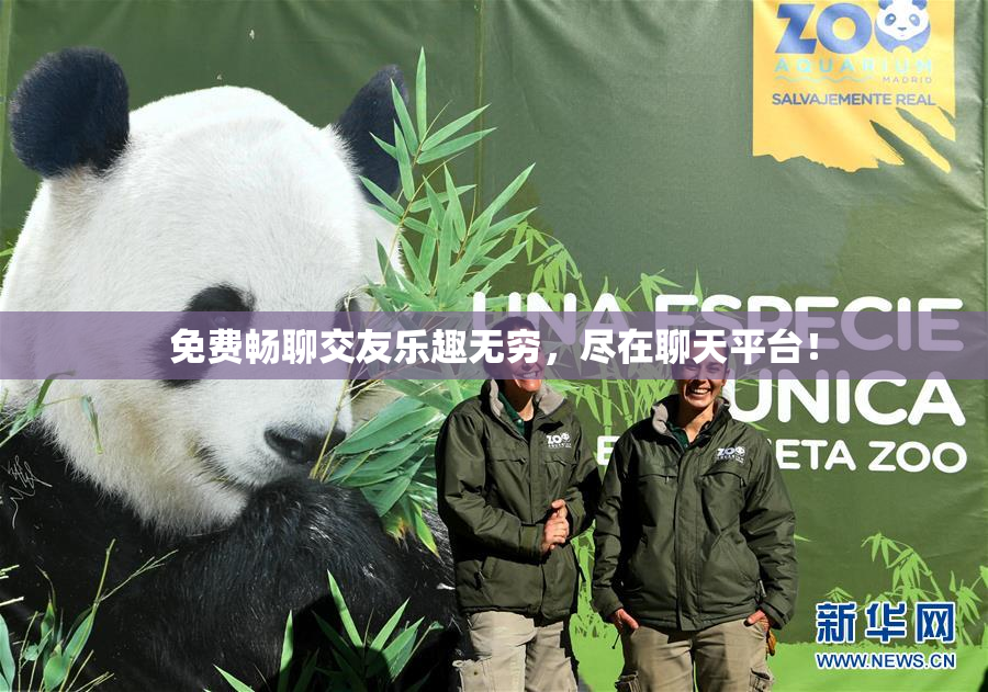 免费畅聊交友乐趣无穷，尽在聊天平台！
