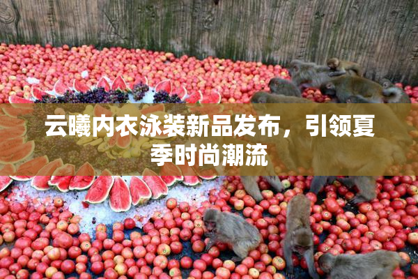 云曦内衣泳装新品发布，引领夏季时尚潮流