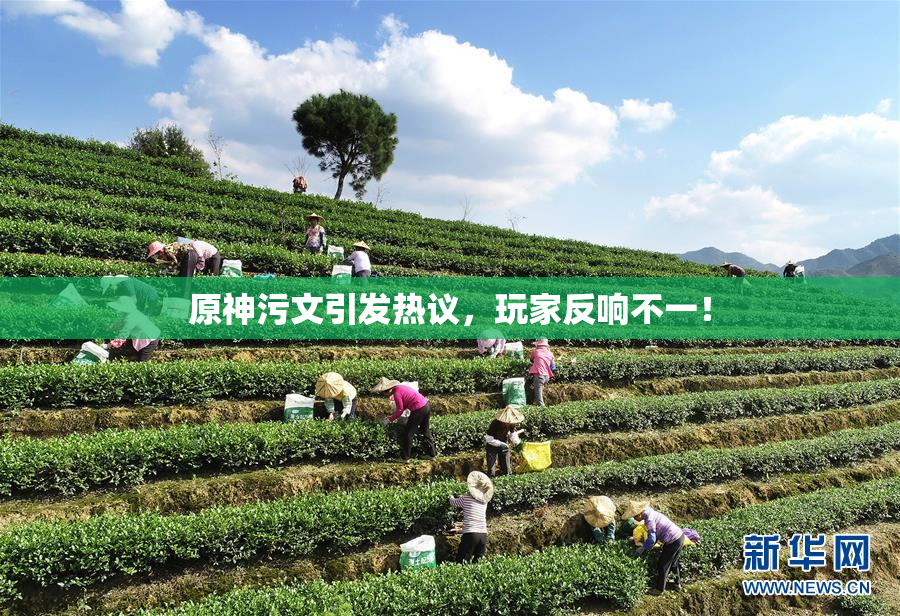 原神污文引发热议，玩家反响不一！
