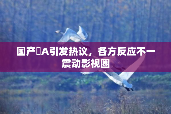 国产婬A引发热议，各方反应不一震动影视圈