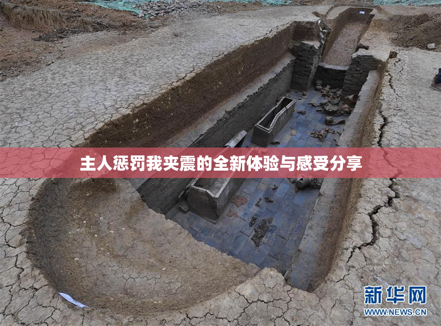 主人惩罚我夹震的全新体验与感受分享